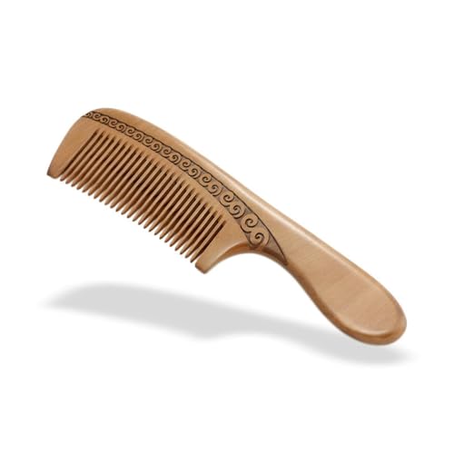 ؋ wAuV  ꂽnIȋ ؐ̋ PA(2)