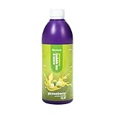 Sirup für Bubble Tea 0,5 l Stachelbeere - Pineapple | Getränke sirup Konzentrat 500 ml | 100% vegan, glutenfrei, ohne künstliche Farbstoffe | Fruchtsirup für Bubbletea|Getränkesirup | für Desserts |