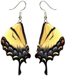 BicBugs REAL preserved Papilio glaucus yellow black hindwing swallowtail butterfly wing earrings