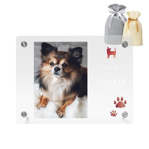 yꖳztHgt[ ʔv  ybg ʔv  d Mtg ʐ^ AN dog001 (STCYE悱u, bhEʐ^)