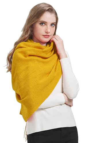 Women's Winter Scarf Fashion Pashmina Shawls and Wraps Soft Warm Long Large Scarf2