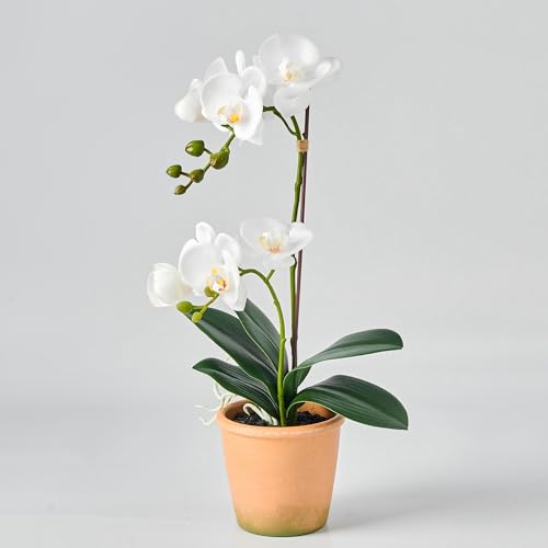 Avoeco Künstliche Orchidee, fühlt sich echt an, 38,1 cm, künstliche Phalaenopsis im Topf, sehr realistische Seiden-Orchidee Blume und Blattstruktur für Zuhause, Büro, Geschäft und Hochzeitsdekoration