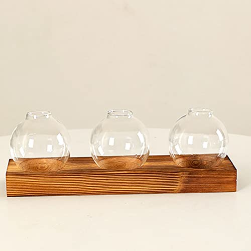 Desktop Round Glass Planter Terrarium Flower Vase With Wooden Stand For Propagating Hydroponic Plants Home Garden Office Decor (Style1) #TOP6
