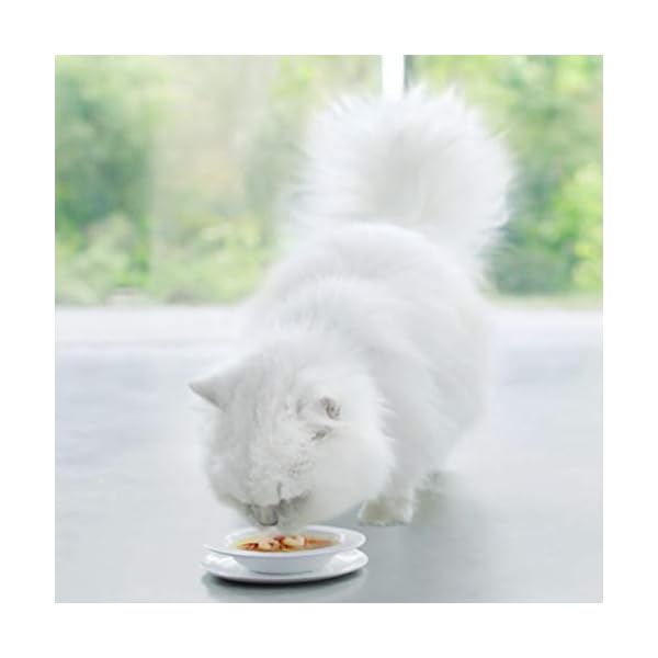 Gourmet PURINA GOURMET Crystal Soup für Katzen mit naturbelassenem Thunfisch und Garnelen, 32er Pack (32 x 40g) – Bild 6