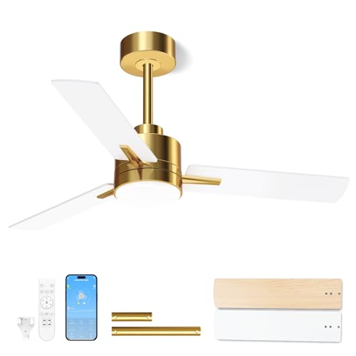 LANMEL 42'' Ceiling Fan with Lights and Remote, Low Profile Modern Ceiling Fan Gold, 6 Speed...