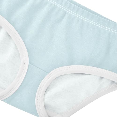 Joisal Toddlers Underwear Floral 2t Cotton Panties Little Girl Florals Briefs Girls Undies Pale Blue4