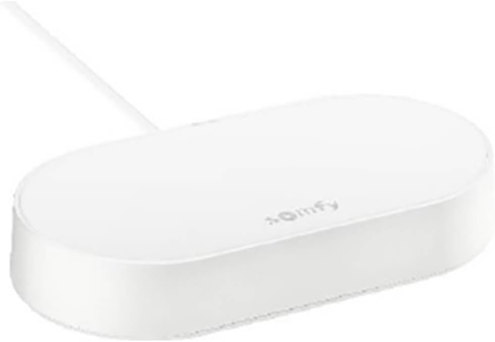 Somfy 1870755 Connectivity Kit, Control of Somfy Motors and Lighting, Compatible with io & RTS Motors, Voice Control via Google Assistant, Amazon Alexa, HomeKit