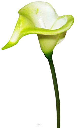 Artificielles - Arum Calla Fleur Verte h 42 cm Superbe - Choisissez Votre Coloris: Vert