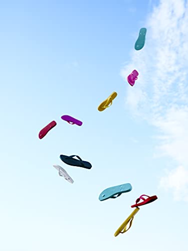 Image of Havaianas Schuhe Top