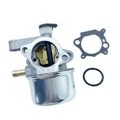 Carburateur 794304 pour entretenir votre pelouse sans effort
