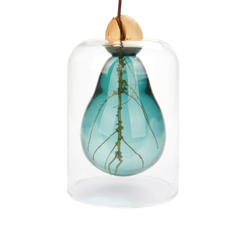 Balvi Cultivador Aguacate Avocado Vase Color Verde Vidrio