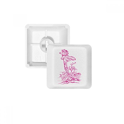Feuille de lotus keycaps clavier mécanique blanc multicolore sans impression