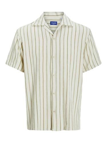 Vêtements Jack & Jones JORCOBA STRIPE RESORT SHIRT SS SN pour - vue 5