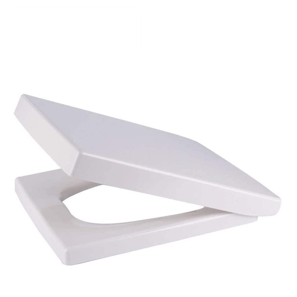MOBYGKFY Toilet Lid - Heavy Duty Closed Front Seat with Will Slow Close, Never Loosen and Provide the Fit