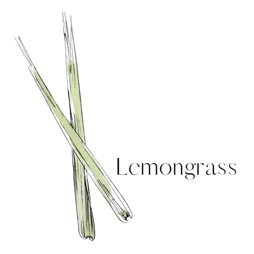 Artway Tree Free - Lemongrass Plant Fibre Paper - Printmaking, Arts & Crafts Paper - 24 Sheets - A4-200gsm - Image 2