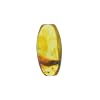 Baltic Amber with a Fly Insect Natural stone - 7.0g