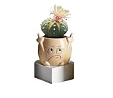 Creative Design Ceramic Planter (Brown),Angry Fingers Small Planter Pot - Funny Succulent & Cactus Pot with Drainage Hole, Whimsical Hand Sculpture for Desk Decor