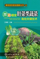 Greenhouse Vegetable Cultivation illustrated books Illustrated greenhouse leafy vegetable cultivation