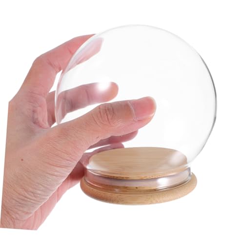 Cúpula de vidrio transparente con base de madera IMIKEYA para plantas 5