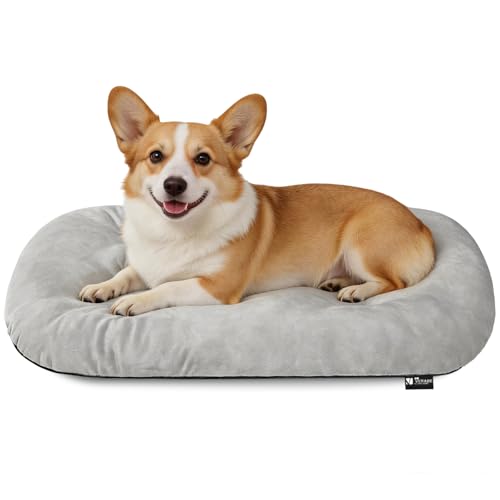Image of Washable Oval Medium Dog Bed, Silver-Tipped High-Resilience, Light Gray | Non-Slip Bottom Prevents Sliding, Soft Plush Short Fur, Machine Washable, Ideal for Crates /Apartments /Cozy Nooks,29 inchx18 inchx2.8 inch