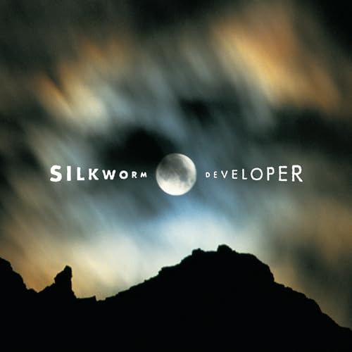 Developer - Vinyl release thumbnail