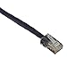 Black Box 100FT Purple CAT5e Patch Cable 350MHz UTP cm No Boot