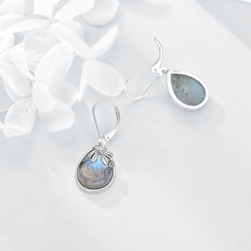 Labradorite Teardrop Dangle Drop Earrings - Sterling Silver Natural Gemstone Jewelry Gift for Women4