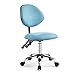 WDNMDY Sgabello da Dentista Sgabello da Dentista con Schienale Sgabello da Salone Girevole Girevole Sedia Dentale Idraulica per Sgabello da Manicure Medico per Spa Facciale da Barbiere