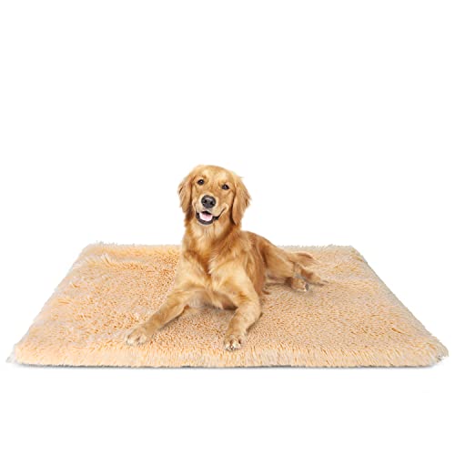 Estos son los Mantas para Camas para Perros Súper Ventas Online 【2023】