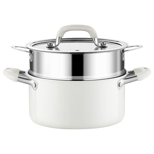 MORLU 蒸し鍋 両手鍋 スチーマー IH対応 ガス対応 304ステンレス鋼製 大容量 厚手 無塗装 深型 焦げ付きにくい ガラス蓋付き お手入れ簡単 煮物・蒸し・スープ用 家庭用 (22CM,二層)