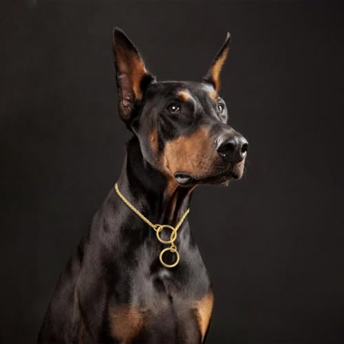 Image of Heavy Duty Choke Swivel Metal Dog Chain - Durable Training Collar with Strong Links & 360 Swivel for Medium & Large Dogs (Snake Chain 4 MM - Golden)