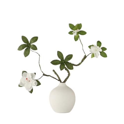  A̐A rO[V~[Vt[AWg ccWA Z~bNt[i