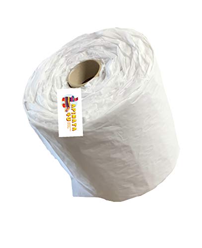 APINATA4U Toilet Paper Piñata | Handcrafted Whack Piñata for End of Year Party Supplies