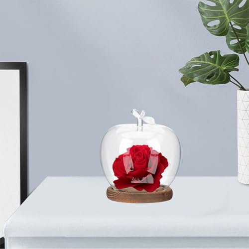 Cubierta de vidrio para flores preservadas Healeved con base de madera decorativa 6