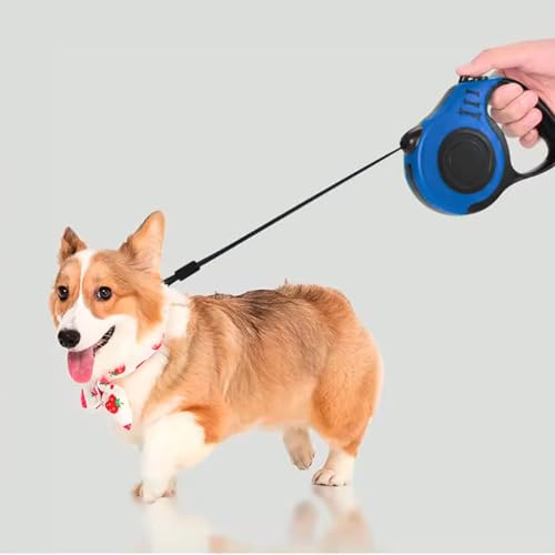 Guia Retrátil Para Cães, Gatos, Resistente 3 Metros Azul