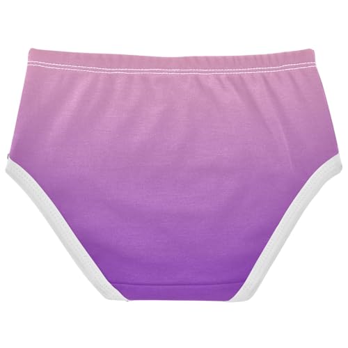 Joisal Blush Pink Purple Gradient Toddlers Underwear Floral 2t Cotton Panties Little Girl Cartoon Briefs Undies Kids2