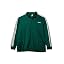Collegiate Green/White
