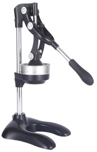 Presse-Agrumes en Acier Inoxydable Argent Compact 43 cm Haute Qualité