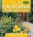California Home Landscaping