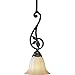 Progress Lighting P5083-84 Le Jardin Espresso Mini Pendant