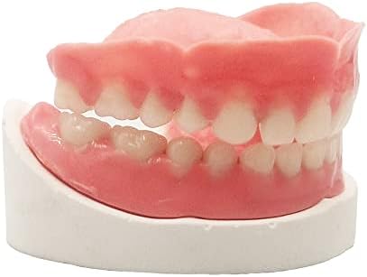 Denture Do it Yourself Full Set of Top and Bottom Fake Teeth for Improve Smile