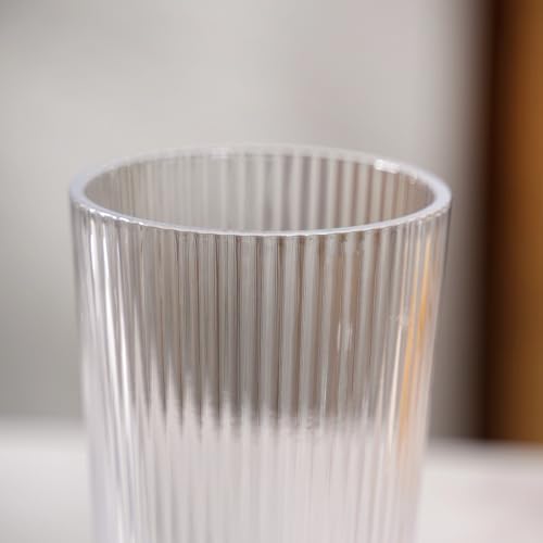 Image of Nestasia Transparent Juice Glasses Set of 6 (300ml Each) - Chip & Scratch Resistant Ribbed Textured Tumblers | Ideal for Water, Juice, Cocktails, Mocktails - Perfect for Gifting