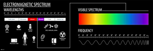 Electromagnetic Spectrum Chart Diagram Science Physics Visible Light Wavelength Reference Educational Classroom Cool Wall Art Print Poster 36x12