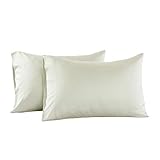 Abripedic Solid 600-Thread-Count, 100-Percent Tencel Lyocell, Set of 2 Standard-Queen Size Pillow Cases, Ivory