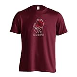 [アートワークスコウベ] 野球 Tシャツ 半袖 練習着 ドライ ボールの握り方 変化球カーブ CURVE ユニセックス XL バーガンディ