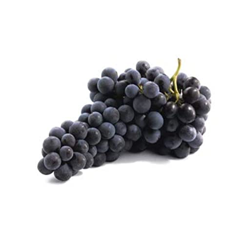 Monoprix Raisin Muscat AOC Catégorie 1 - La barquette de