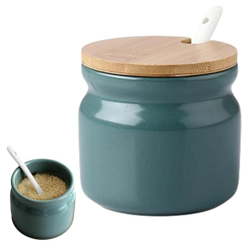 JASOLYI Ceramic Sugar Bowl Porcelain Sugar Pot with lid and Spoon 300ml/10.56oz Seasoning Storage Jar Salt Pot Salt Container for Coffee Bar Home Kitchen(Dark Green)