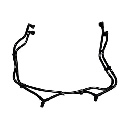 はな ライブディオ zx仕様 『決まりました！』