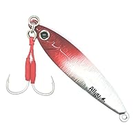 Amazon.co.jp: Allgu タングステンジグ 参号 40g ケイムラ