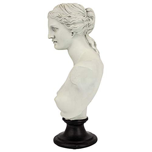 Design Toscano Eu15816 Venus De Milo Bust Statue, 12 Inch, Polyresin, Antique Stone #TOP2